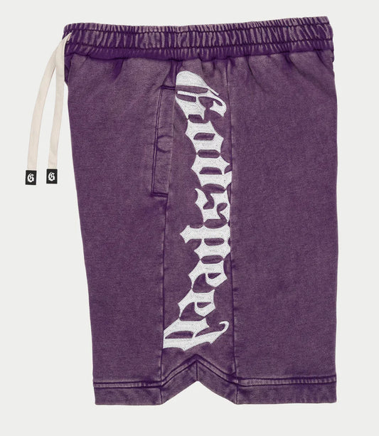 CourtSide Shorts {Grape Wash}