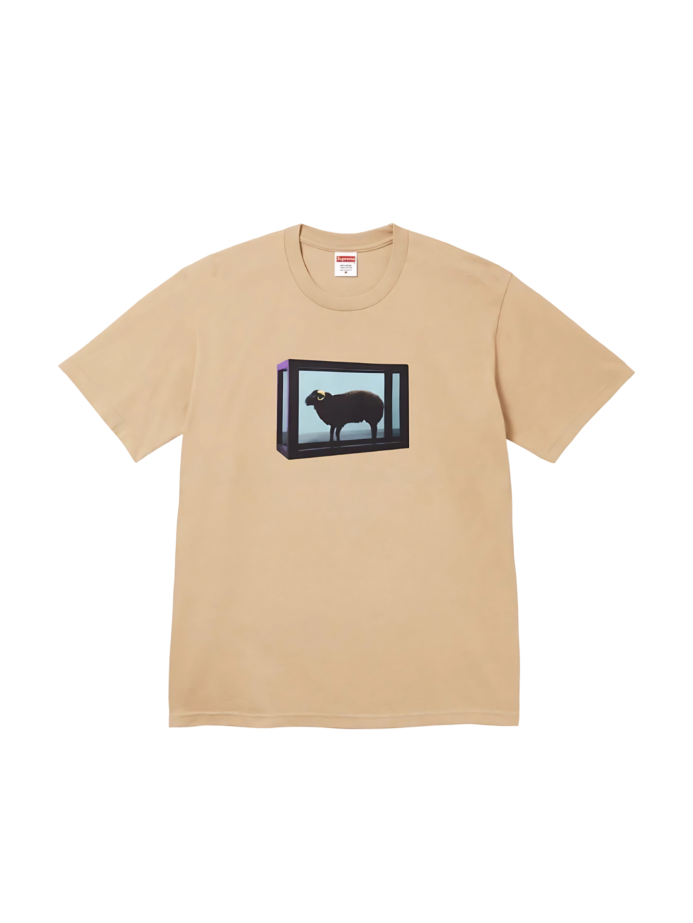 SUPREME / DAMIEN HIRST