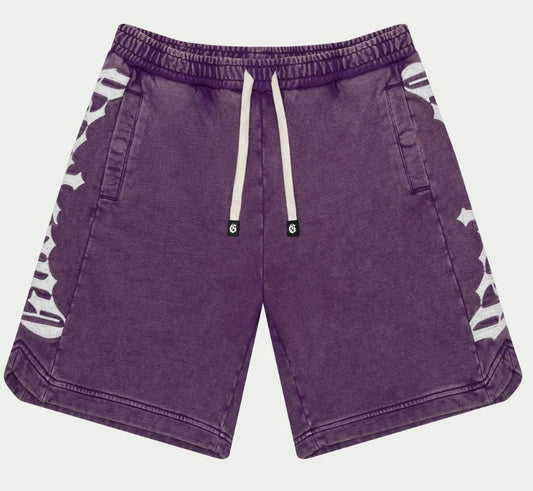 CourtSide Shorts {Grape Wash}