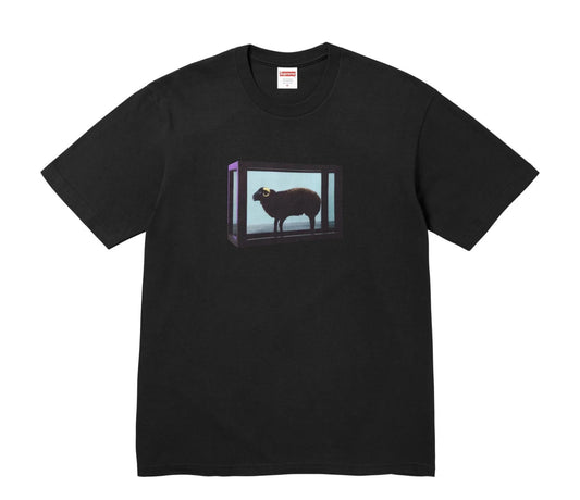 SUPREME / DAMIEN HIRST