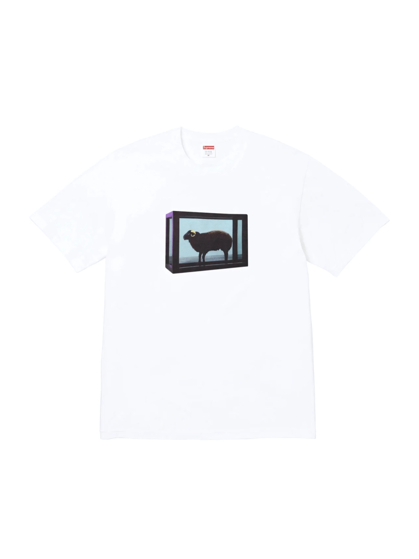 SUPREME / DAMIEN HIRST